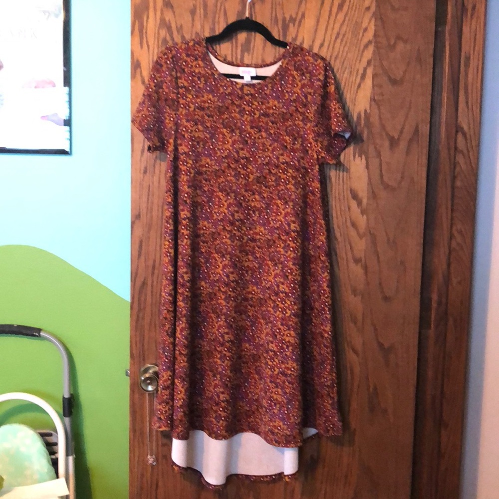 LuLaRoe Carly Dress Medium Floral Print